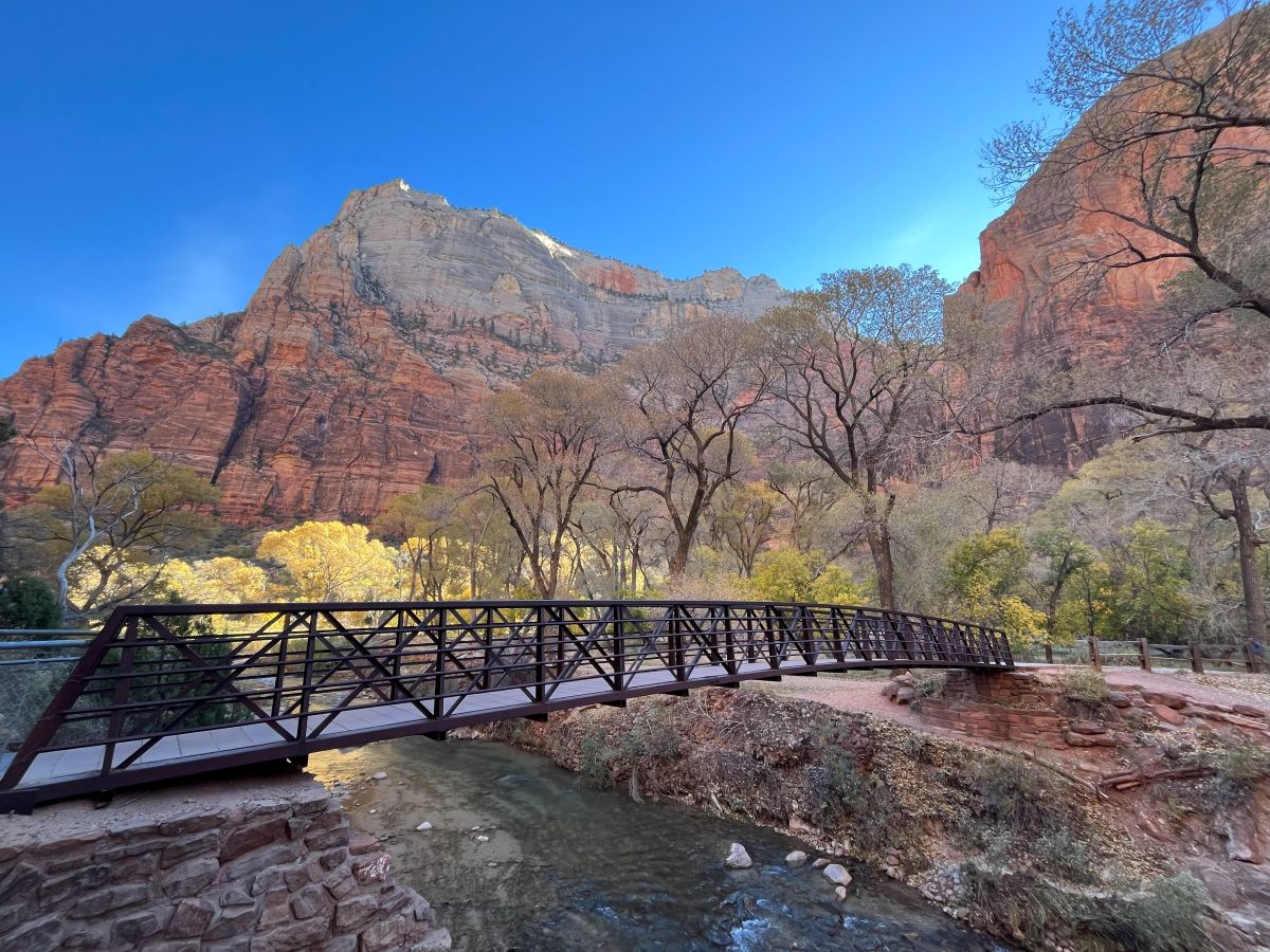 Bridge by Zion Lodge