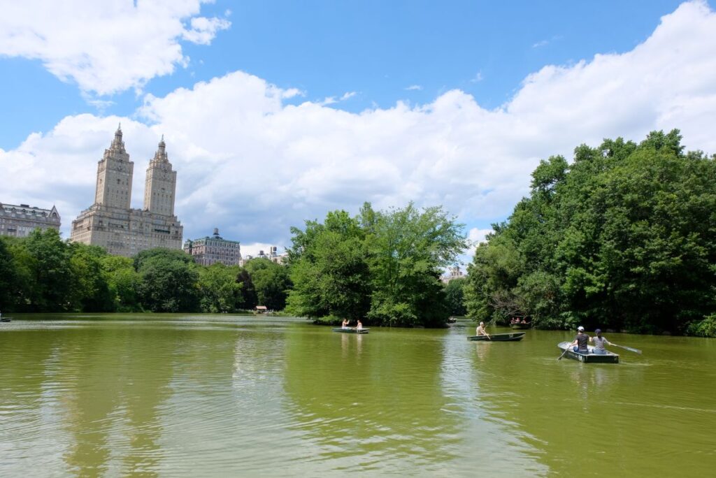 The view from pond in Central Park, NYC